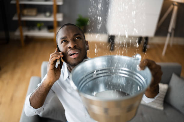 Best Residential water damage restoration  in Lombard, IL