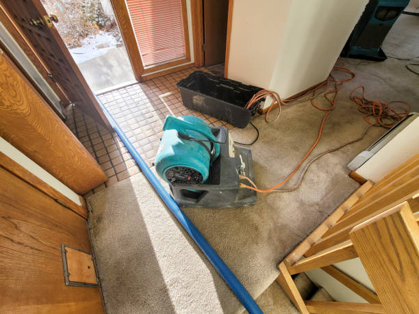 Best Water damage restoration experts  in Lombard, IL