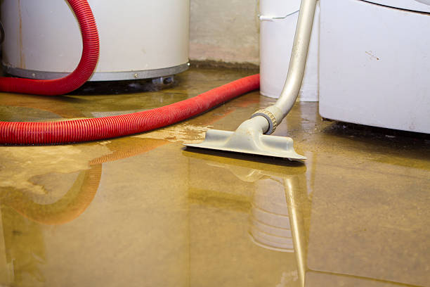 Best Carpet water damage restoration  in Lombard, IL