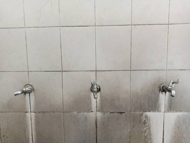 Best Water damage restoration process  in Lombard, IL