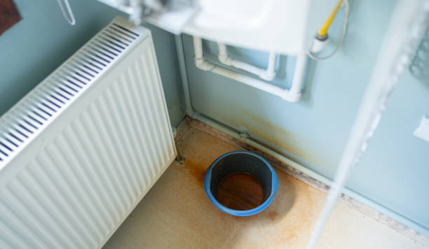 Best Basement water damage restoration  in Lombard, IL