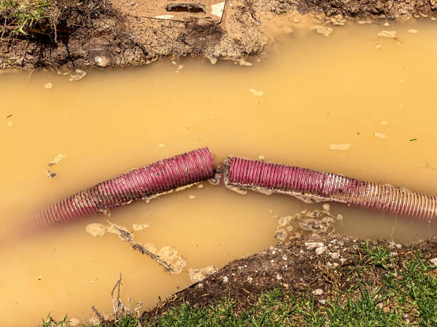 Trusted Lombard, IL Water damage restoration Experts