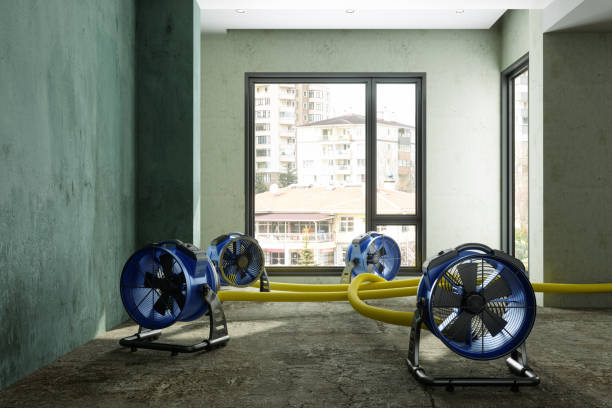 Best Fire Damage Restoration  in Lombard, IL