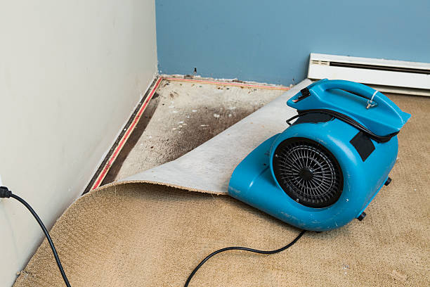 Best Ceiling water damage repair  in Lombard, IL